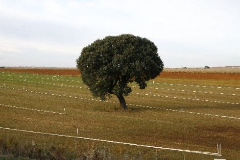 &#169; JoaquinTerán 