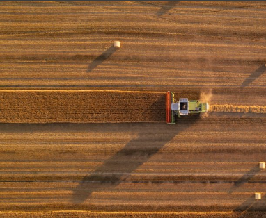 Publicado en la web del FEGA