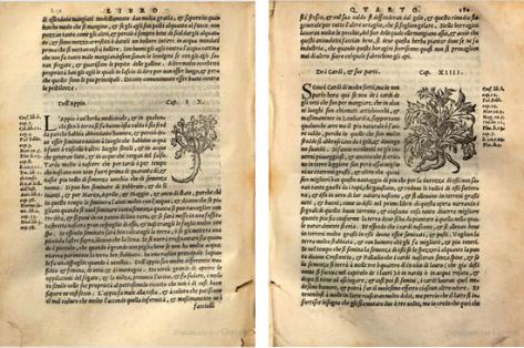 Apio y Cardo. Xilografías de la edición italiana de 1557. Ejemplar de la  Bibliotheque du Palais des arts Ville de Lyon