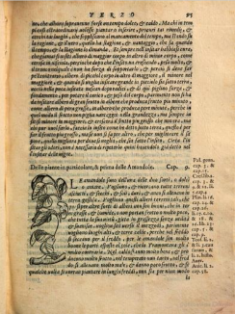 Avellana. Xilografía de la edición italiana de 1568. Ejemplar de la  Bibliotheque du Palais des arts Ville de Lyon