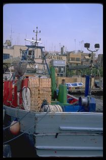 Img0012