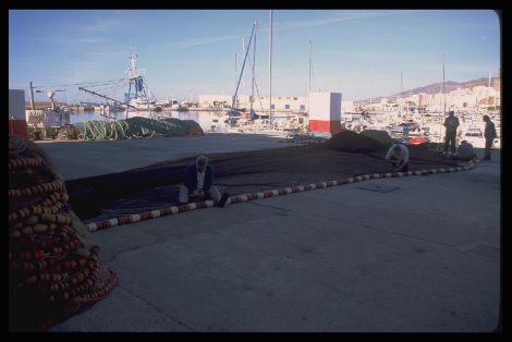 Img0014