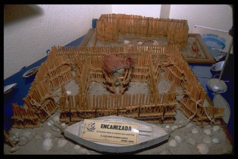 Img0017