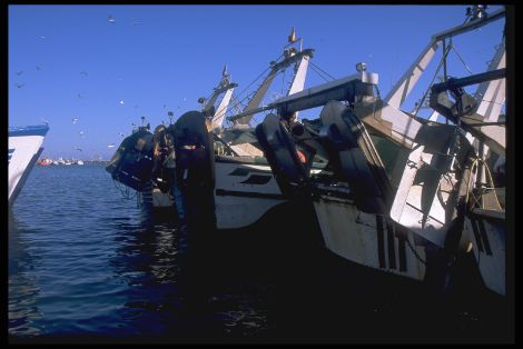 Img0020
