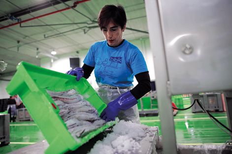 Neskatilla/empacadora en la localidad de Ondarroa