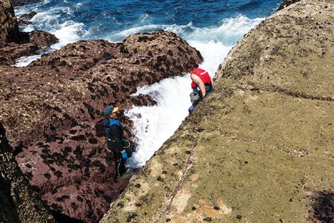Percebeiras en la localidad de Camariñas