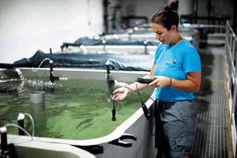 Trabajadora en instalaciones de acuicultura continental para el cultivo en tierra en San Pedro del Pinatar