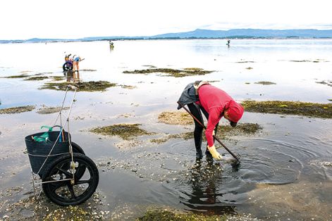 Mariscadora en la localidad de Cambados