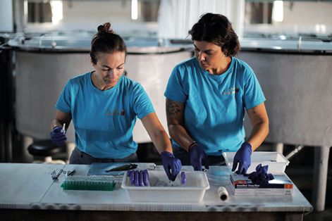 Investigadoras en instalaciones de acuicultura continental para el cultivo en tierra en San Pedro del Pinatar