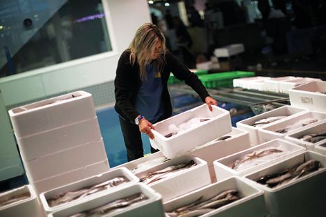 Mujer trabajadora de una empresa mayorista de pescado ubicada en el establecimiento de Mercamadrid