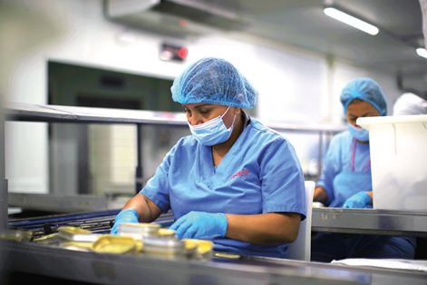 Trabajadora de una conservera de bonito y anchoas en la localidad de Santoña