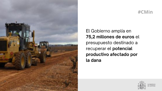Hoy, en Consejo de Ministros