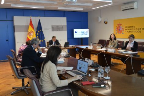 Hoy, en reunión celebrada por videoconferencia