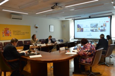 Hoy, en reunión celebrada por videoconferencia