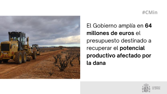 Hoy, en el Consejo de Ministros