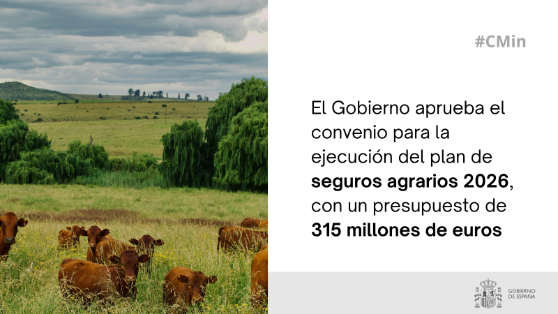 Hoy, en el Consejo de Ministros