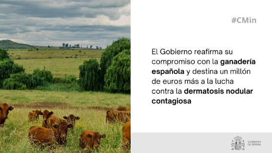 Hoy, en el Consejo de Ministros