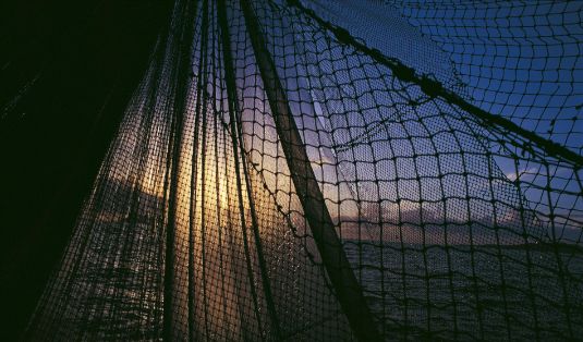 Mediante disposiciones publicadas hoy en BOE