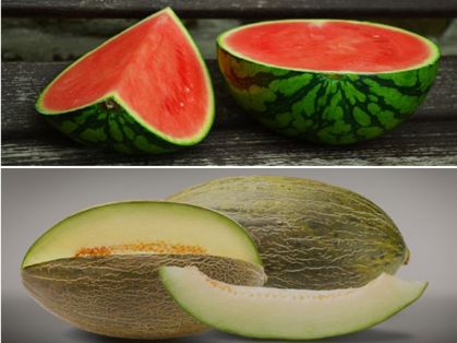 Según los datos del panel de consumo alimentario del ministerio