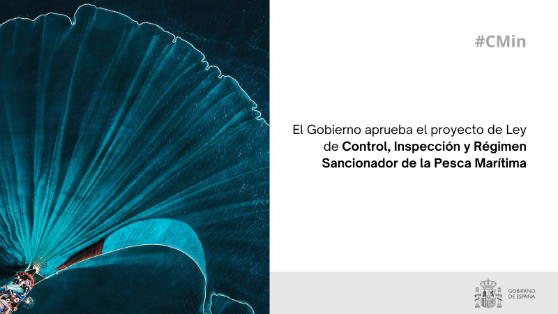 Hoy, en Consejo de Ministros
