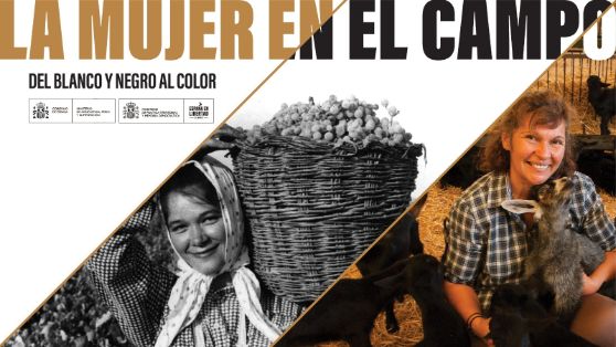 En la sede del Palacio de Fomento, hasta el 12 de diciembre