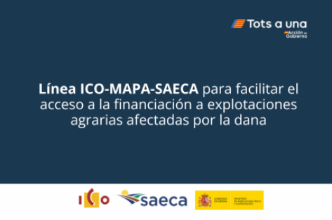Desde hoy y hasta el 1 de septiembre de 2026