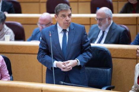 Hoy, en la sesión de control al Gobierno en el Senado