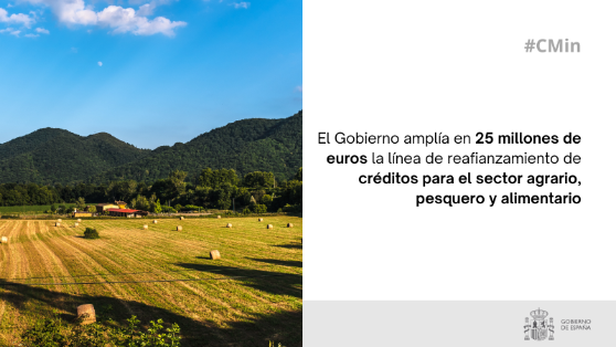 Hoy, en Consejo de Ministros