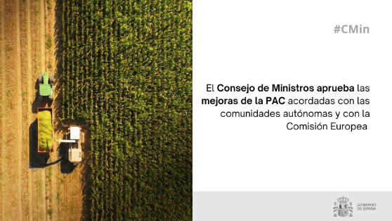 En su sesión de hoy