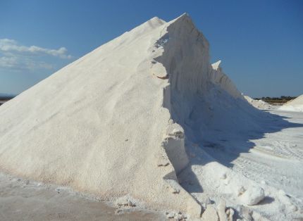 Hasta el día 18 de diciembre, en la página web del ministerio 