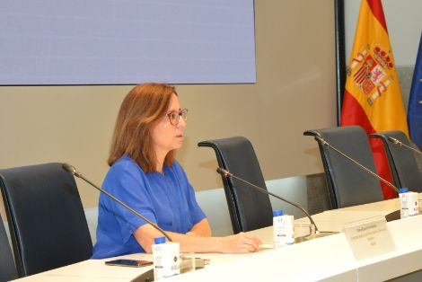 Cooperación transfronteriza
