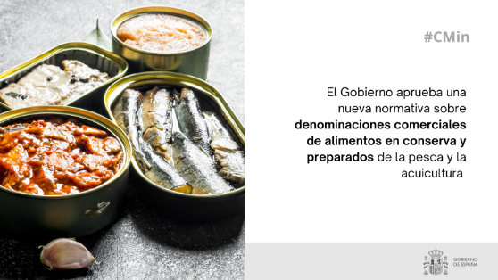 Hoy, en Consejo de Ministros