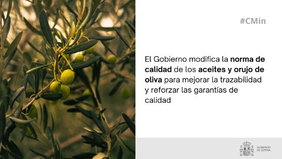 Hoy, en Consejo de Ministros