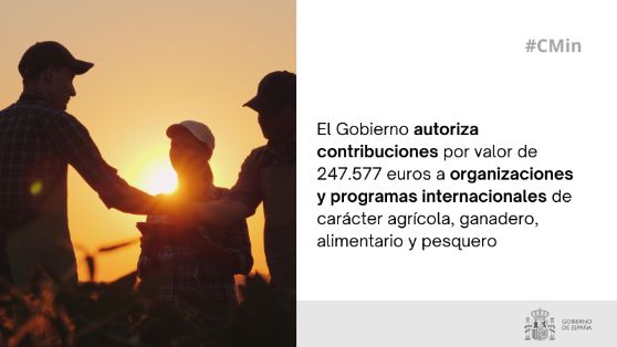 Hoy, en Consejo de Ministros