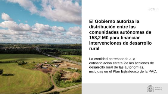 Hoy, en Consejo de Ministros