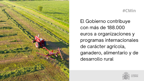 Hoy, en Consejo de Ministros