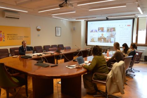 Hoy, en el plenario celebrado por videoconferencia 