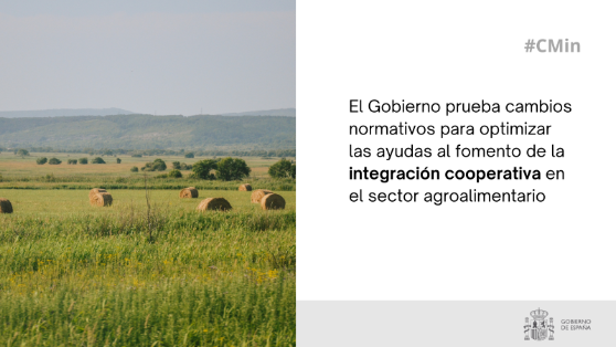 Hoy, en Consejo de Ministros