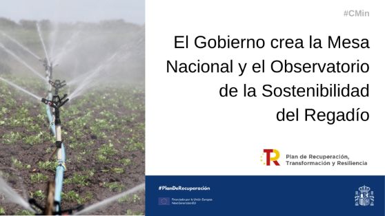 Consejo de Ministros  