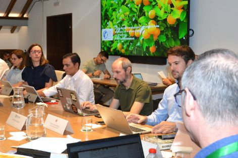 Con los datos recibidos de las comunidades autónomas productoras