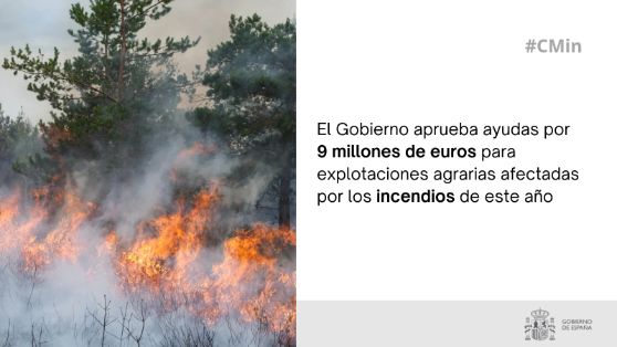 Hoy, en Consejo de Ministros