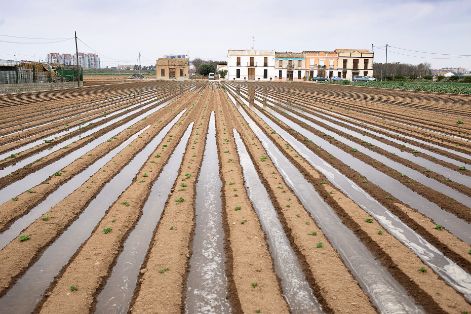 España fue el país pionero en Europa en obtener el reconocimiento SIPAM en 2017