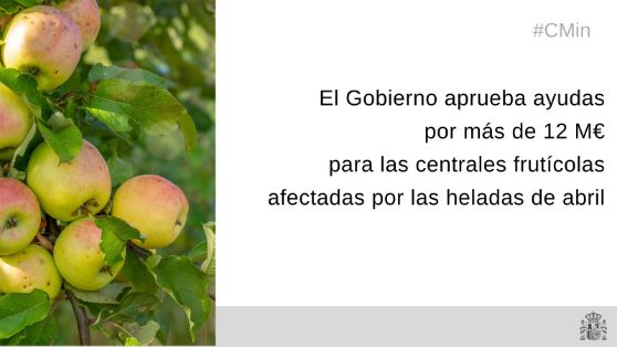 HOY, EN CONSEJO DE MINISTROS  