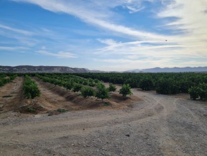 A través de la Sociedad Mercantil Estatal de Infraestructuras Agrarias (SEIASA),
