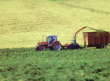 Publicado el número 36 de la serie Análisis y Prospectiva– AgrInfo 