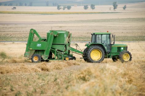 Primera estimación de las principales cifras económicas del sector agrario en 2025