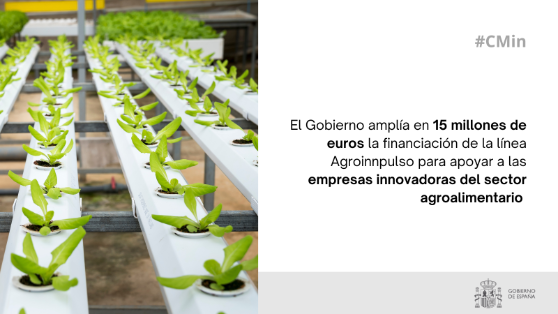 Hoy, en Consejo de Ministros