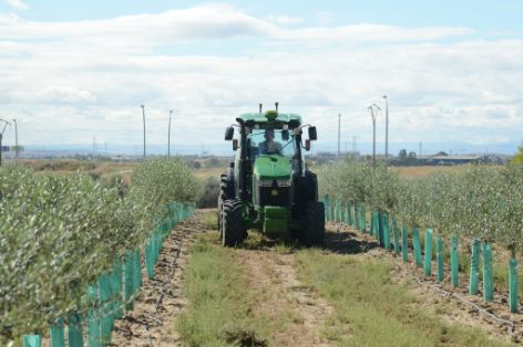 Agotados los fondos de la convocatoria