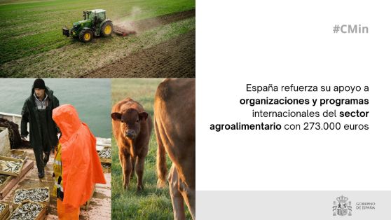 Hoy, en Consejo de Ministros