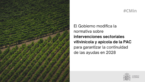 Hoy, en el Consejo de Ministros